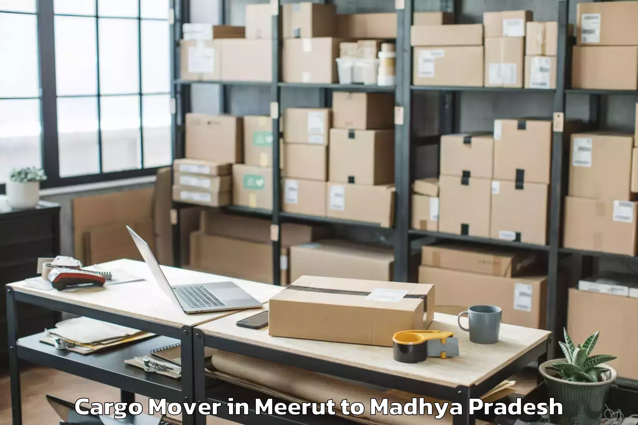 Book Meerut to Narwar Cargo Mover